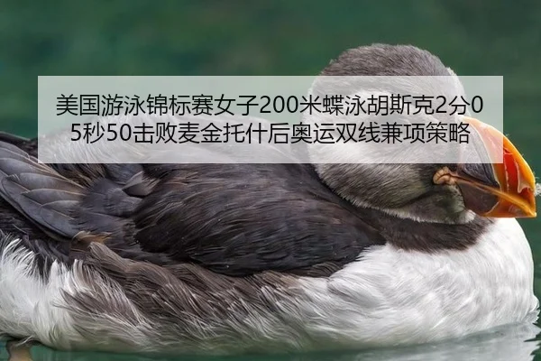 美国游泳锦标赛女子200米蝶泳胡斯克2分05秒50击败麦金托什后奥运双线兼项策略