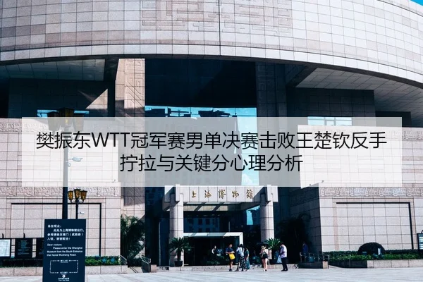 樊振东WTT冠军赛男单决赛击败王楚钦反手拧拉与关键分心理分析
